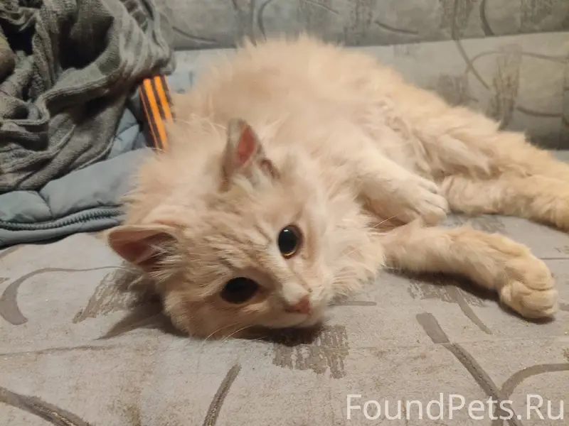 Сегодня в 7.30 утра был...