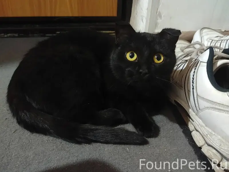 На остановке "площадка" был на...