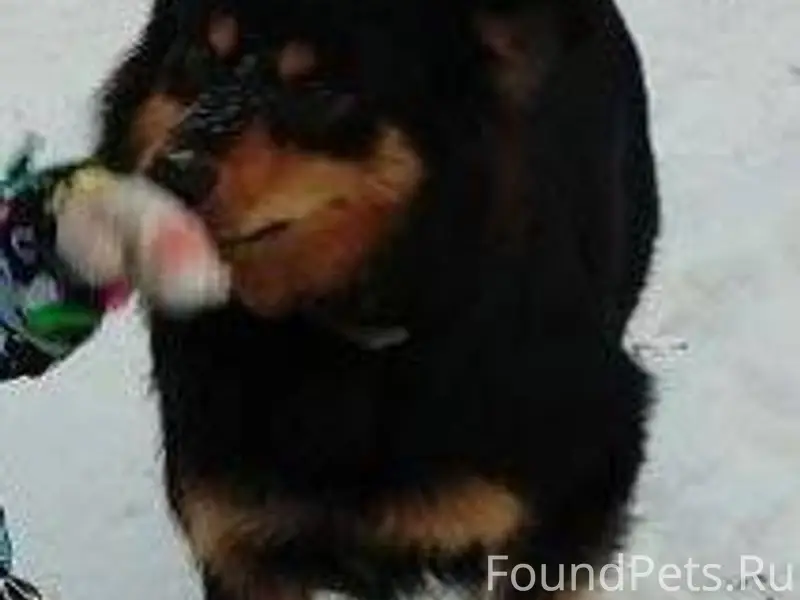 🆘Помогите пожалуйста найти🆘 Ир...