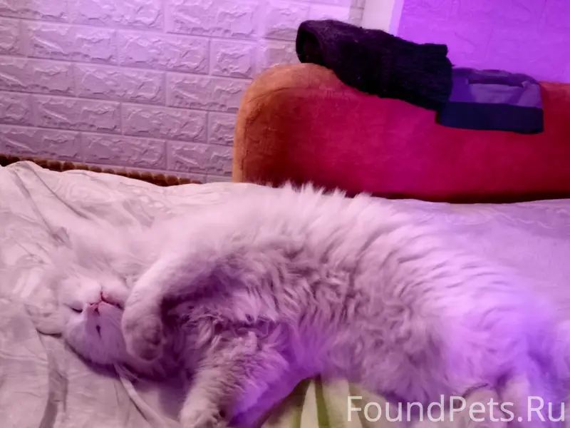 Добрый вечер,драгоценные друзь...