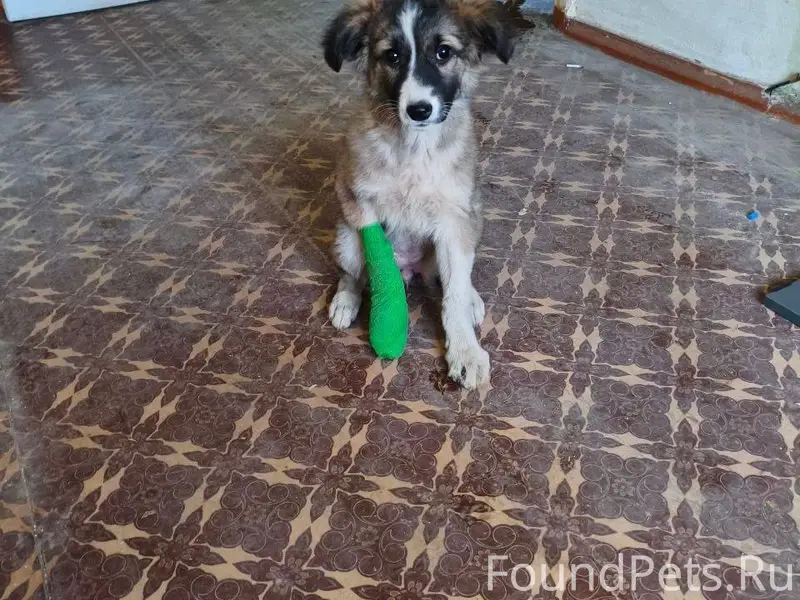 Здравствуйте. 24.12.25 на Вату...