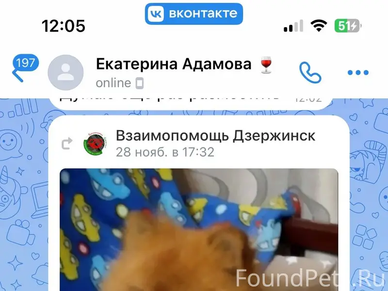 Ребят прошу вашей помощи , дав...