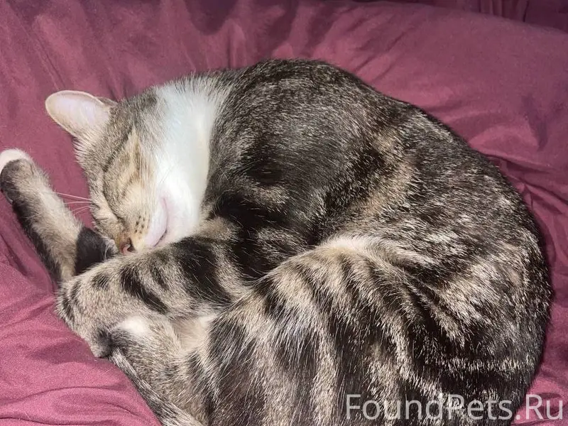 ПРОШУ МАКСИМАЛЬНЫЙ ОТКЛИК🙏🏻🙏🏻 ...