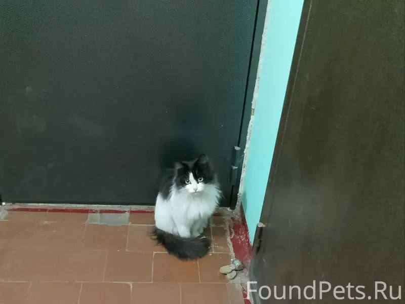 Доброе утро! Помогаю информаци...