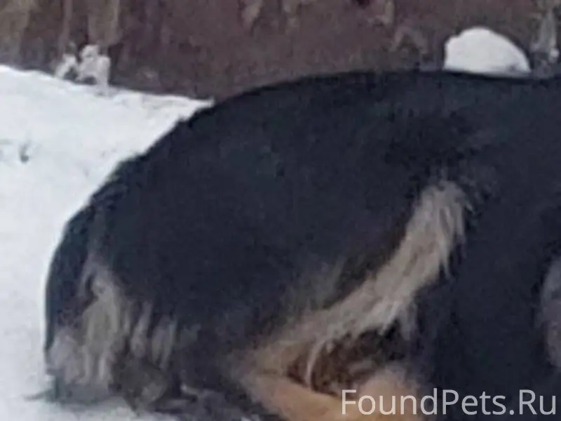 Здравствуйте. 21.12 в 19:00...