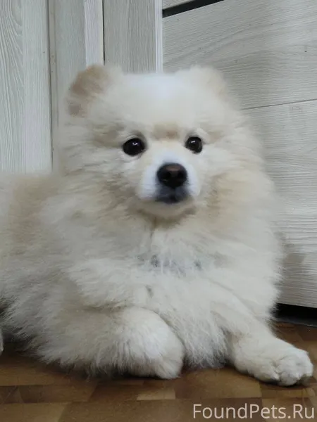 Прошу помощь в поисках,второй ...