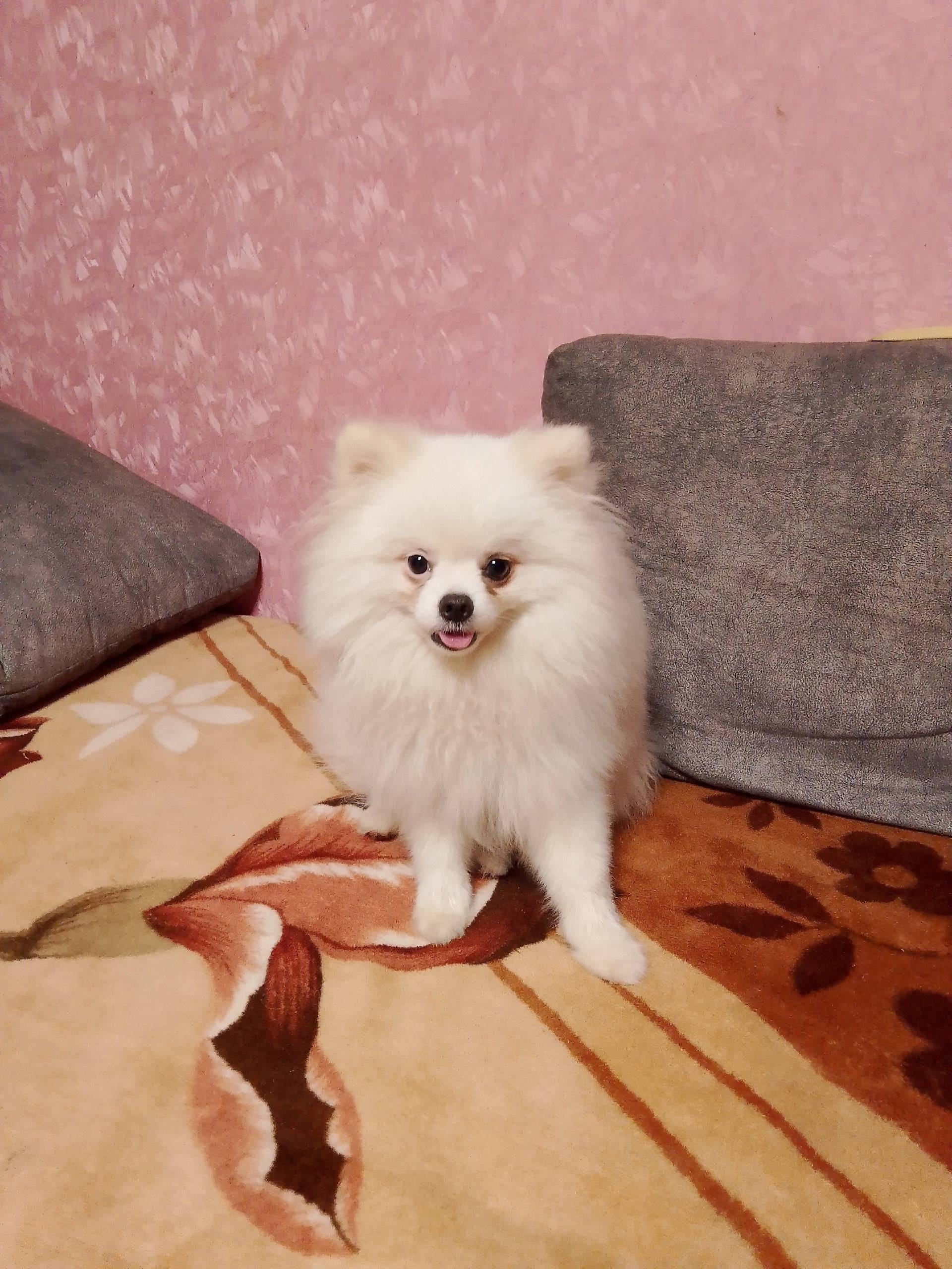 Доброе утро! Сегодня утром убе...