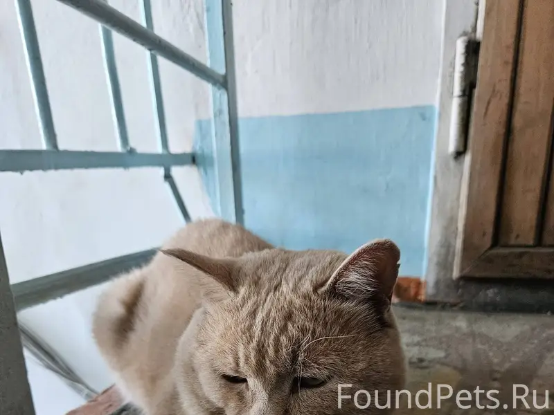 25 декабря в районе школы №40....