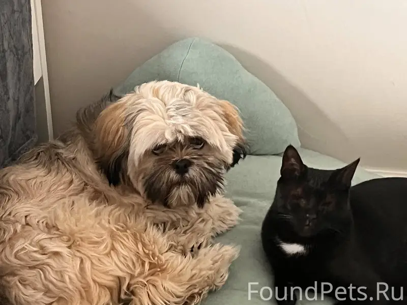 Пожалуйста, помогите найти ! 🙏...