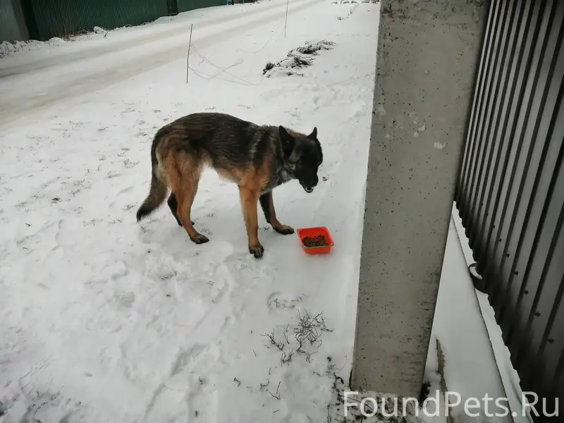 Здравствуйте! п. Горняцкий. Во...
