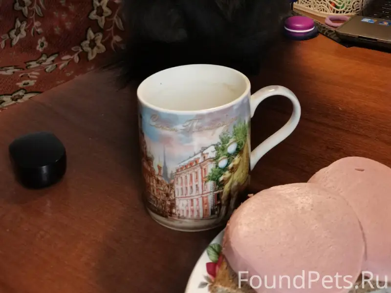 Здравствуйте! Пропала чёрная к...