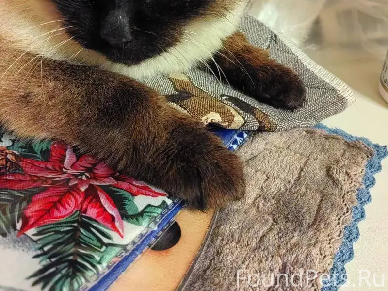 23 декабря в поселке Западном ...