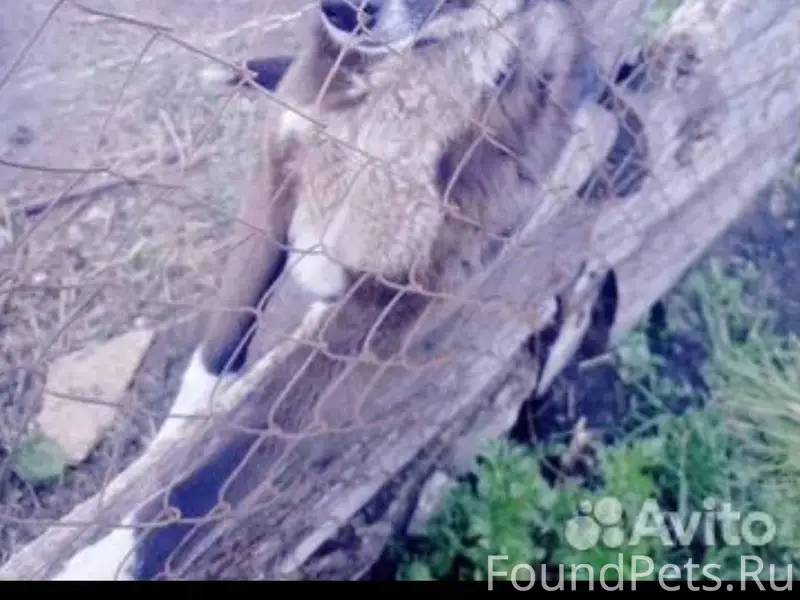 💥Пусть свершится чудо, Нора на...