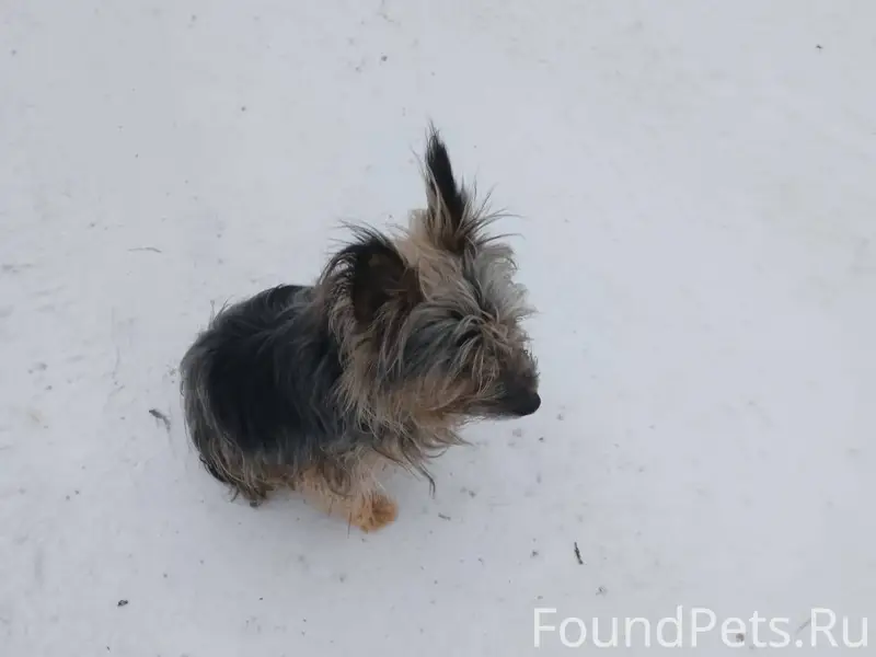 На ул.О.Кошевого в районе...