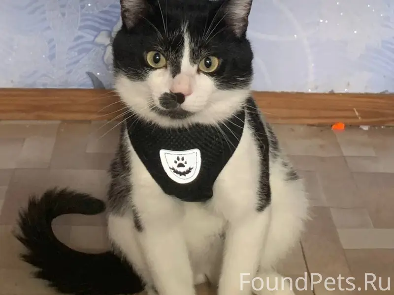 Красноармейский‼️В районе буре...