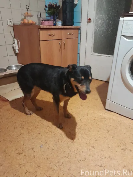 Симферополь. На Объездной ( во...