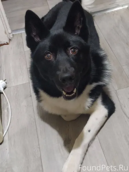 Пишу не первый и не последний....