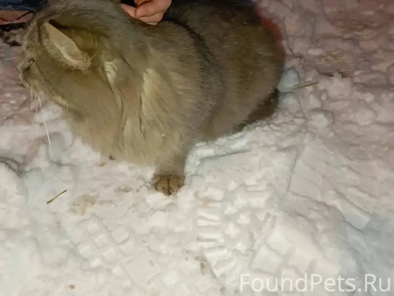 Срочно ❗❗❗ максимальный репост...