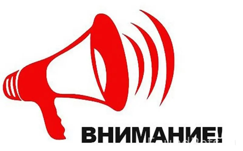 ‼️На посту ГАИ появился щенок,...