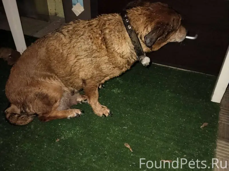 Сейчас, в районе 8 медсанчасти...