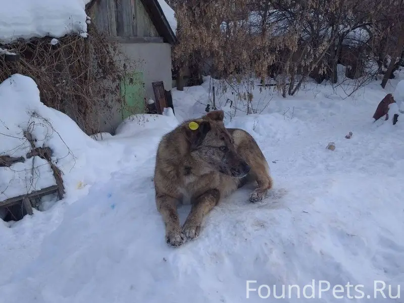 Просьба! Если вы увидели эту с...