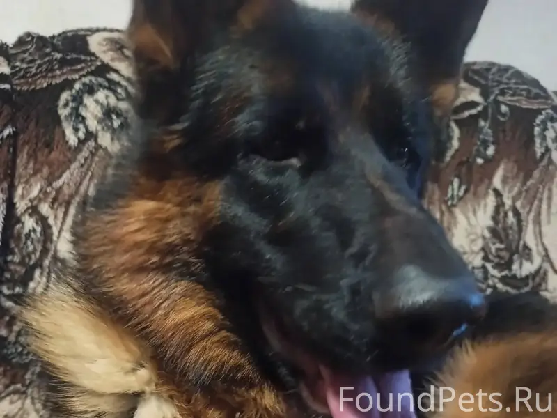 Всем доброе утро, помогите най...