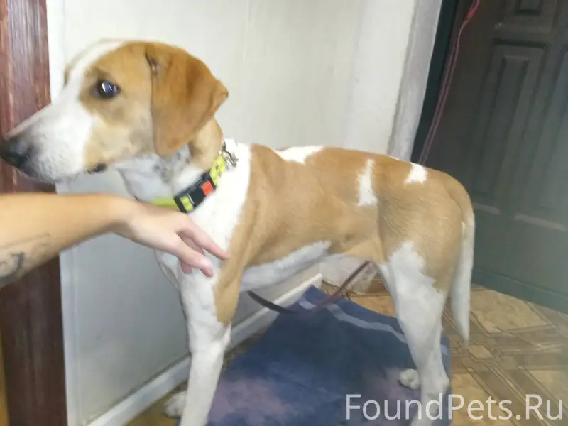 Вчера вечером (25.12.25) в...