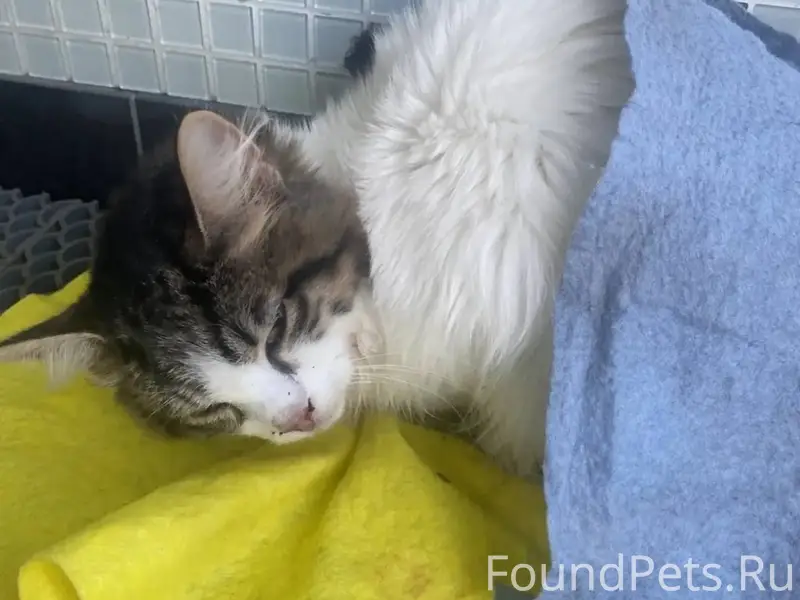 В центре города, ул Гоголя най...