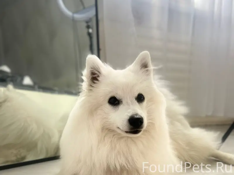 Сегодня в 13:00, в районе...