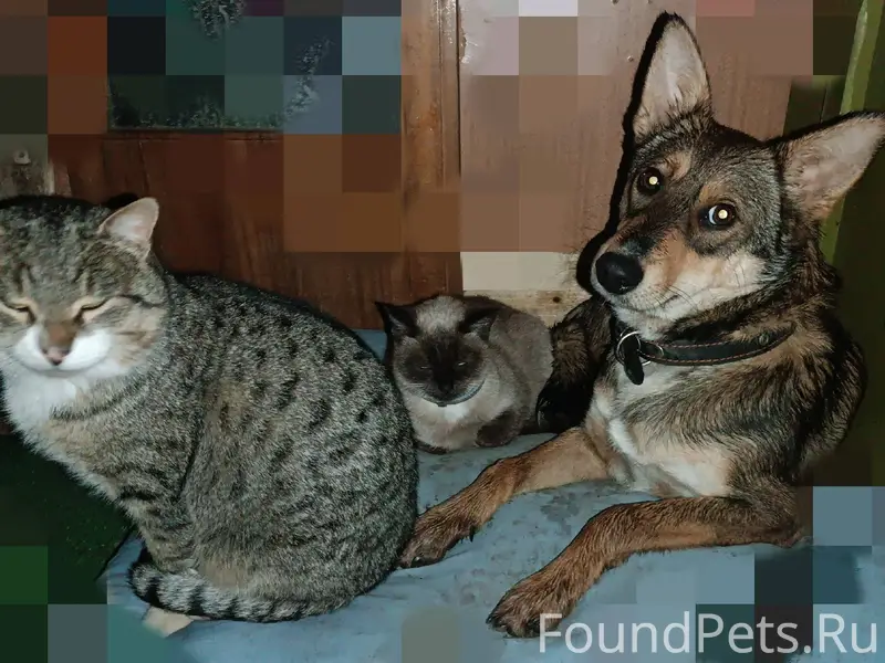 ❇️Нажмите, ПОЖАЛУЙСТА, «Мне нр...