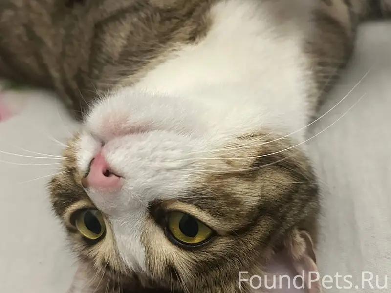 #пропало Доброго всем времени ...