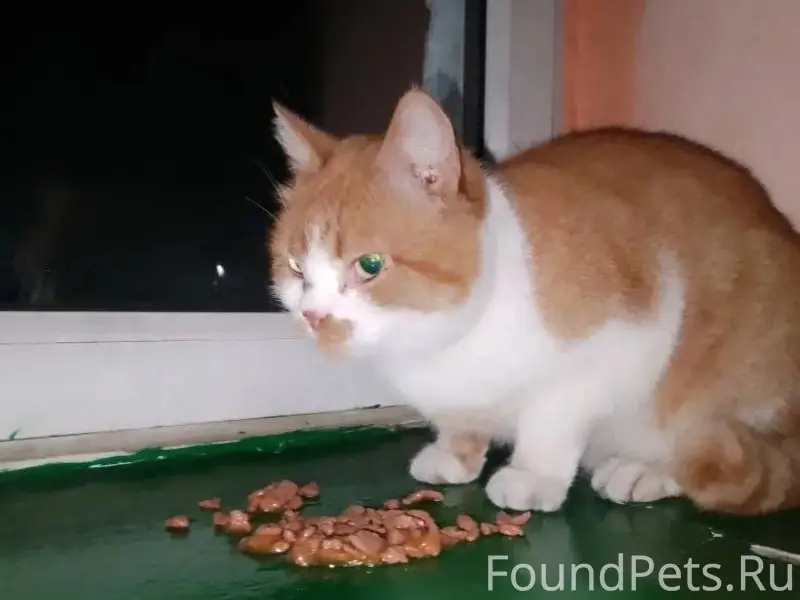 В районе 69 школы на Ясной...