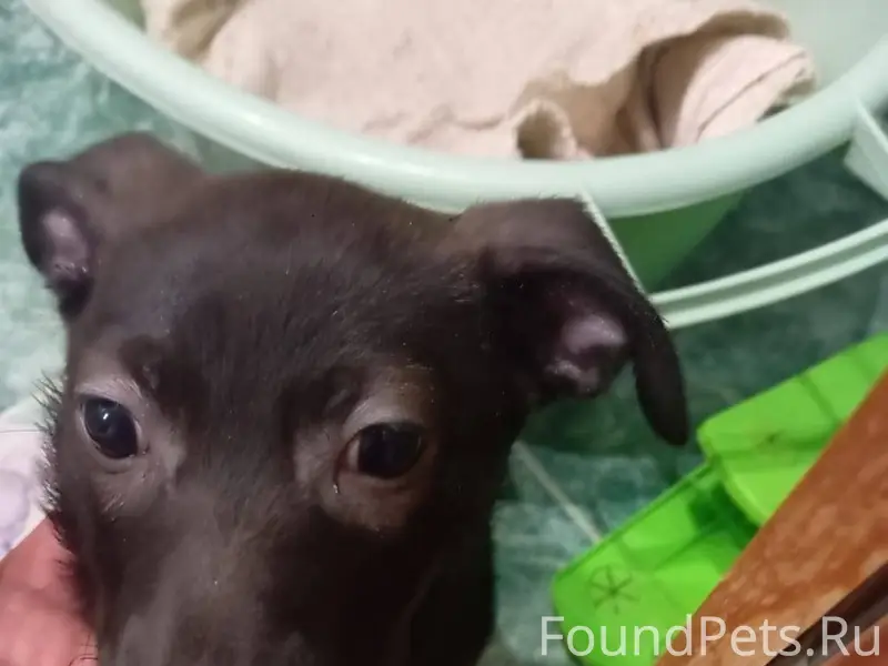 26 декабря 2025г вечером на те...