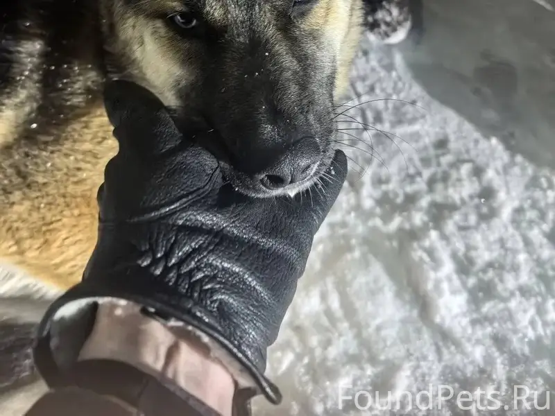 ДРУЗЬЯ! ВОТКИНСК! СРОЧНО! ПРОШ...