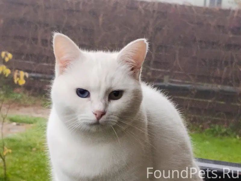 В районе деревни Ивачково и Пр...