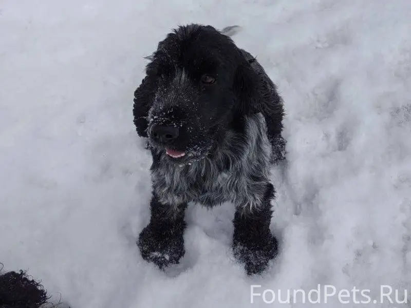 24декабря в Каменке на ул. Стр...