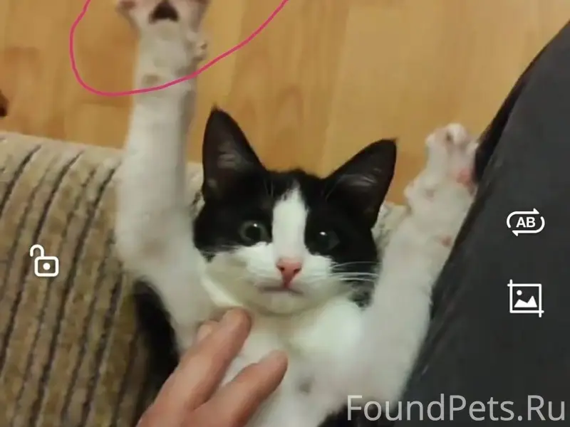 🆘 ПОМОГИТЕ найти потеряшку🙏 14...