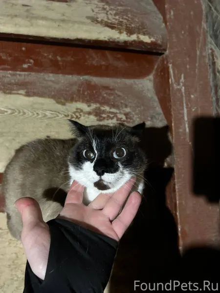 Якутск ‼️🆘🆘🆘‼️ Соседи съехали ...