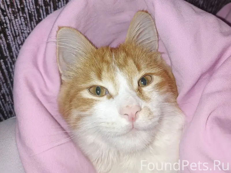 Здравствуйте. Помогите, пожалу...