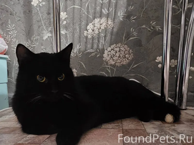 На остановке ( на Сосенском) б...