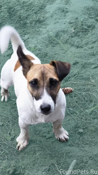 СРОЧНО!ПРОШУ РЕПОСТА ДРУЗЬЯ🙏🙏🙏...