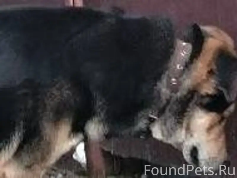 ‼‼‼М.О. г.Ногинск (АТХ-2...