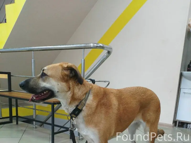 Люди помогите 🆘 пожалуйста Пом...