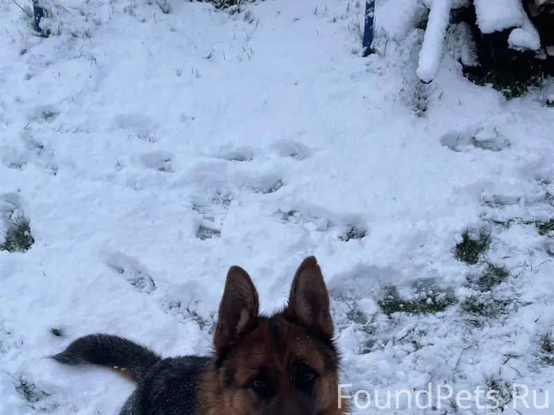 Дорогие друзья! У нас случилас...