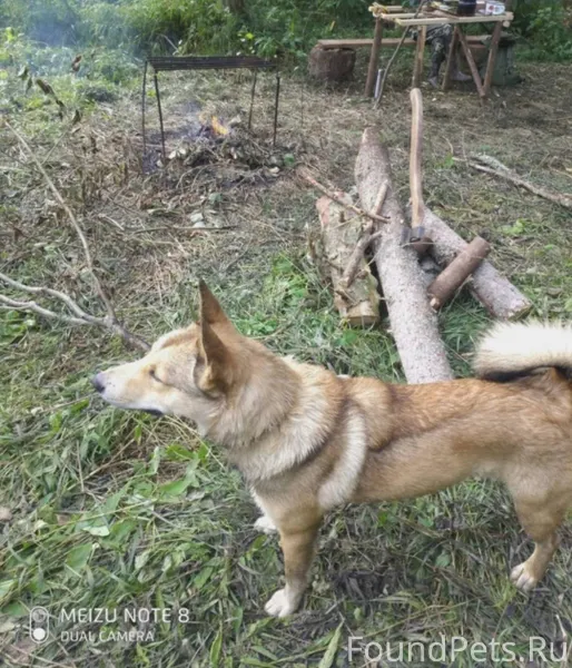 Товарищи друзья! Срочно , МУРЫ...