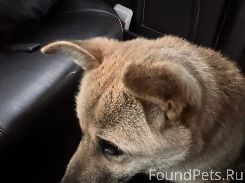 В СНТ по Мельничной пади в...