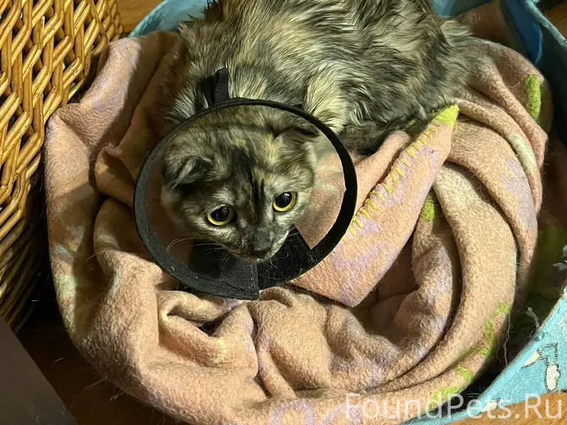 Днем на окне газпрома на Фрунз...