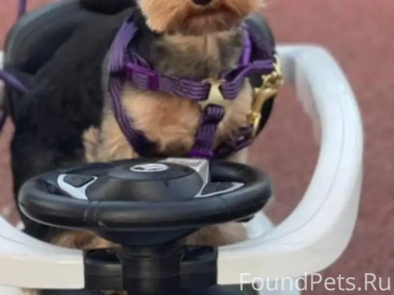 Доброе утро. Внимание ‼️ Пропа...