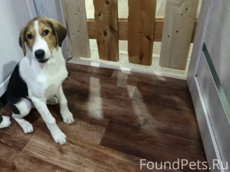 Добрый день. СРОЧНО. Прибился ...