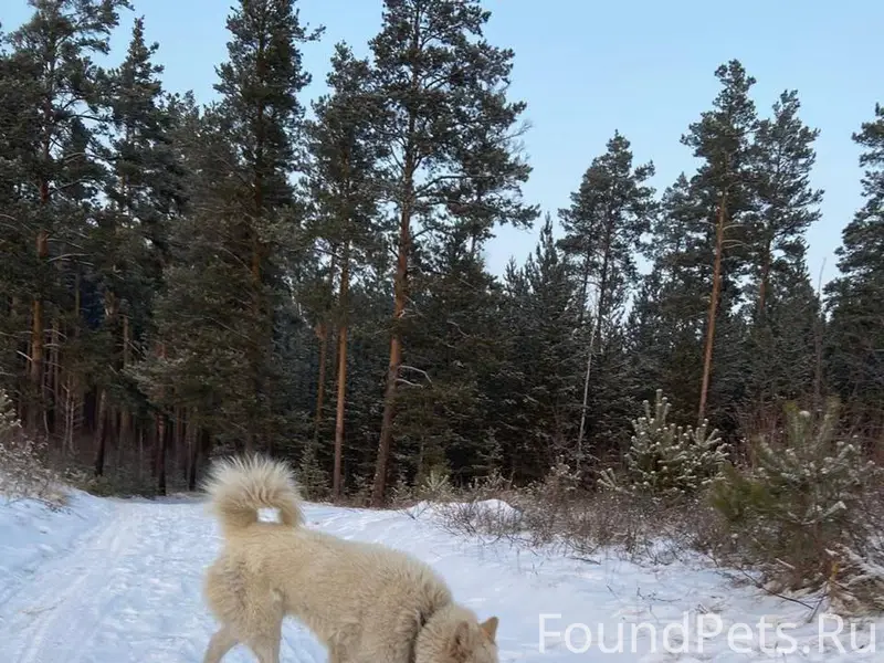 Дорый вечер. Вчера днем на Ниж...